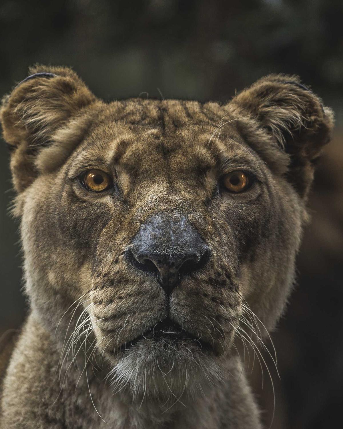 Betty Online — our founder's vision for curated style