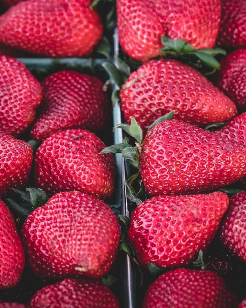 Leather handbag in cognac